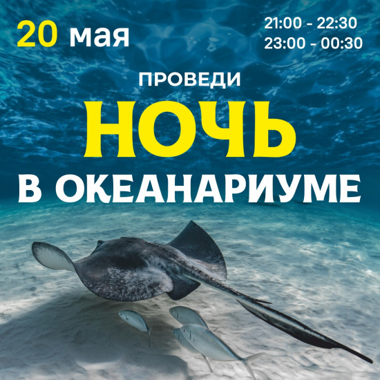 Станьте частью уникального ночного приключения! смотреть крупнее Станьте частью уникального ночного приключения!
