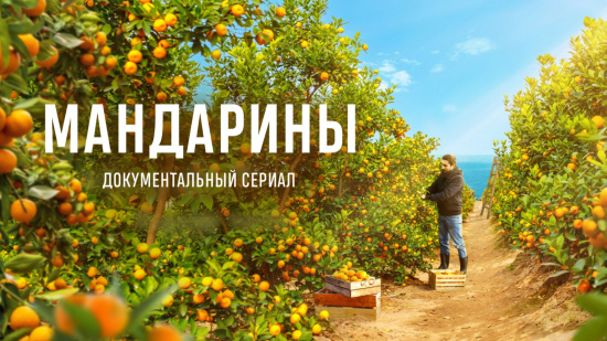 Тяжелый труд и быт Абхазских деревень, солнце и – мандарины