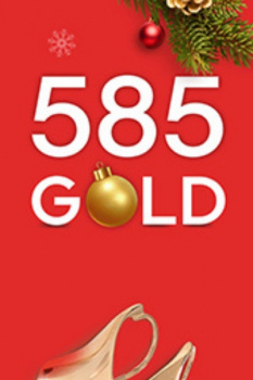 585 Gold