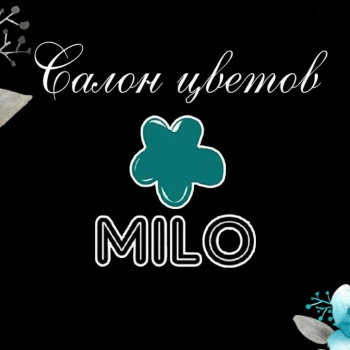 Салон цветов MILO