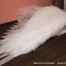 97 встреча КМ – День Рождения КМ! "Wedding fantasy"!35350
